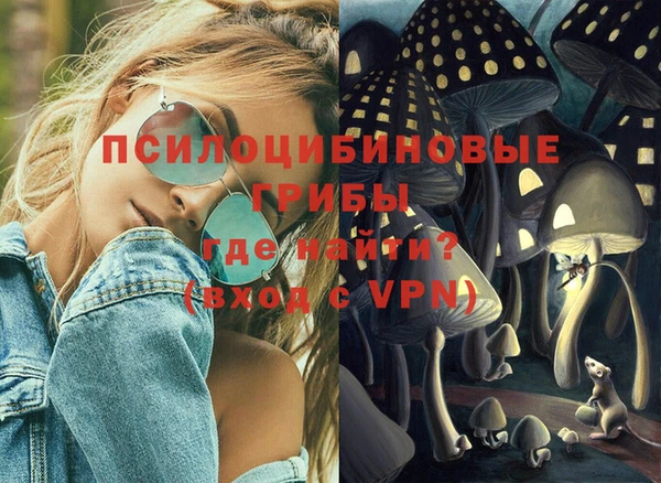 2c-b Костерёво
