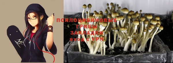ALPHA-PVP Корсаков