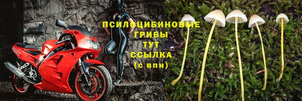 2c-b Костерёво