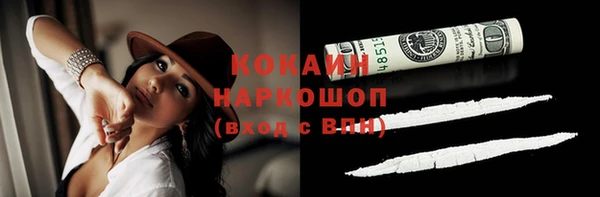 дживик Коряжма
