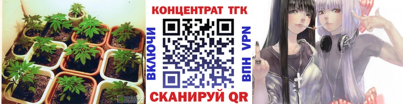 ТГК вейп Тихвин